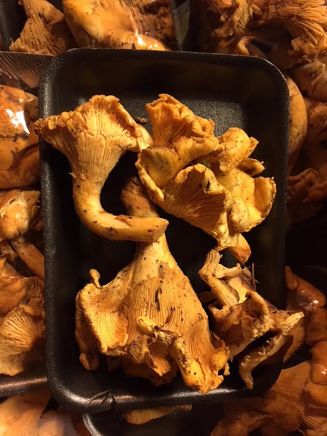 Chantrelle Mushrooms