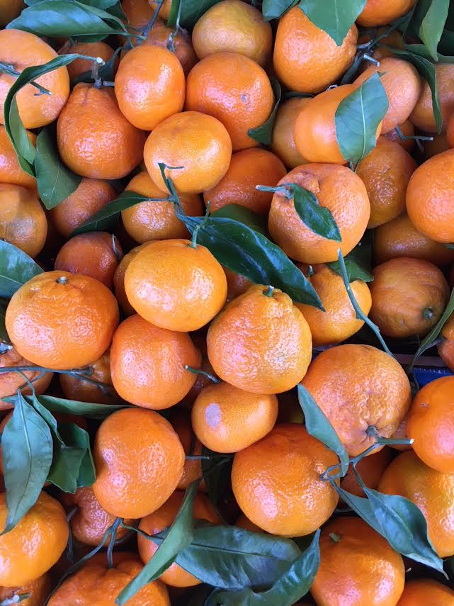 Freshly Picked